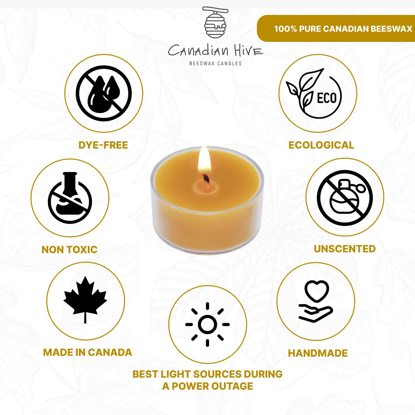 Pure Canadian Beeswax Tealight Candles - 10 Pack - Cotton Wicks - 4-Hour Burning Time Votive Candles Crafted by Recycled Plastic Clear Cup